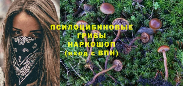 бутират Кодинск