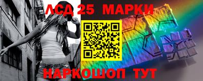 крисы Анапа
