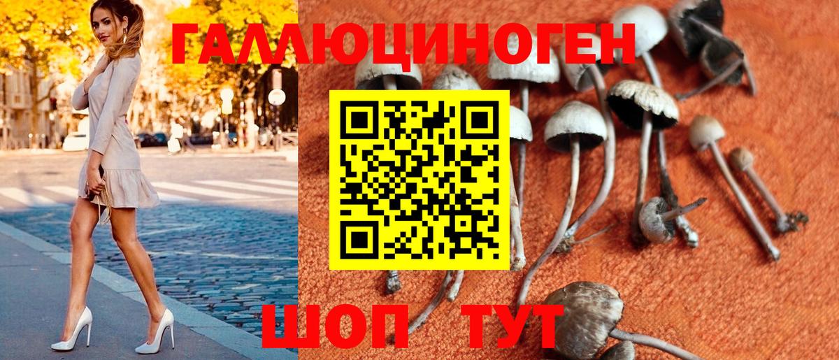 Галлюциногенные грибы мухоморы Тейково