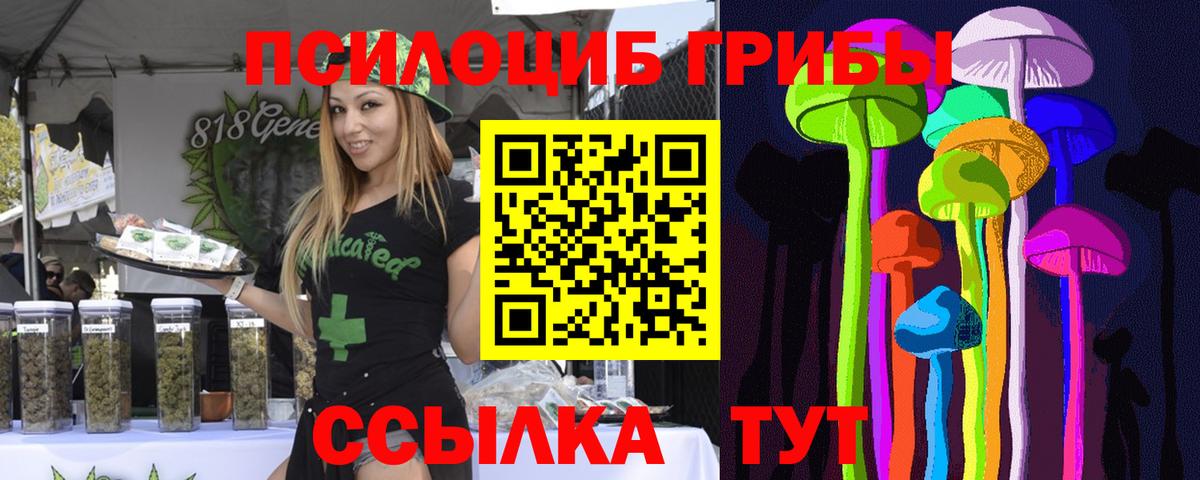 Псилоцибиновые грибы Magic Shrooms  Вход с VPN  продажа наркотиков  Тейково 